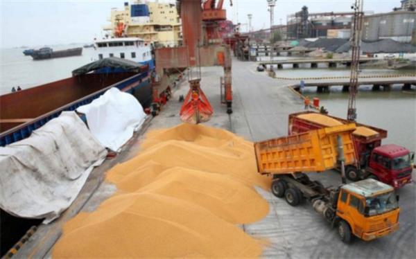 بخش مهمی از نهاده مرغداران و دامداران از بازار سیاه تامین بخش مهمی از نهاده مرغداران و دامداران از بازار سیاه تامین می گردد