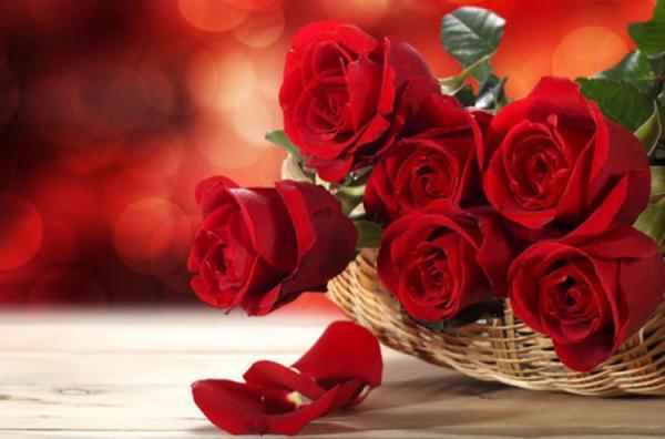 اس ام اس و پیغام تبریک سالگرد ازدواج به همسر؛ متن سالگرد ازدواج اینستاگرام