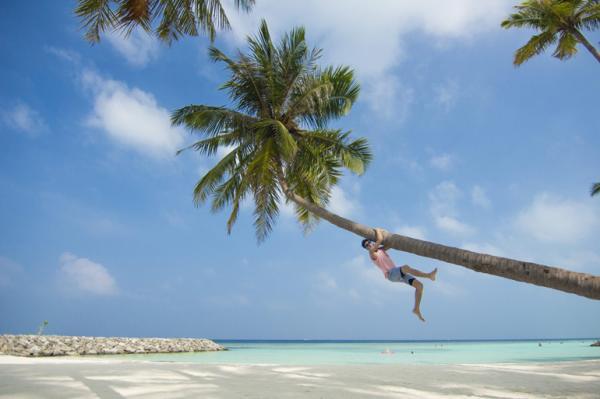 چرا سواحل مالدیو برای همه گردشگران لوکس شده است؟